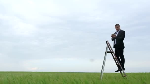 En man letar efter en mobil anslutning mitt ute på fältet, han klättrar uppför en stege. — Stockvideo