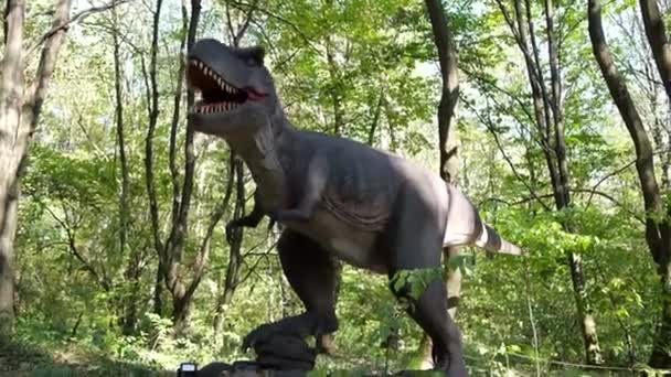 Rubber moving model of a dinosaur predator in an amusement park. — Stock Video