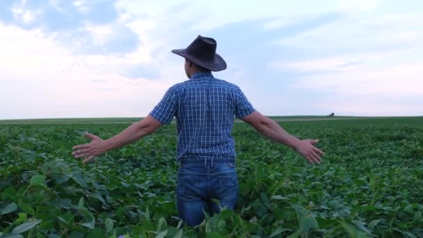 Mladý zemědělec z Iowy v USA kontroluje pole zelené sóji. — Stock video