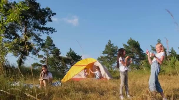 Un grupo de niños descansan en un campamento de verano, se divierten al aire libre. — Vídeos de Stock