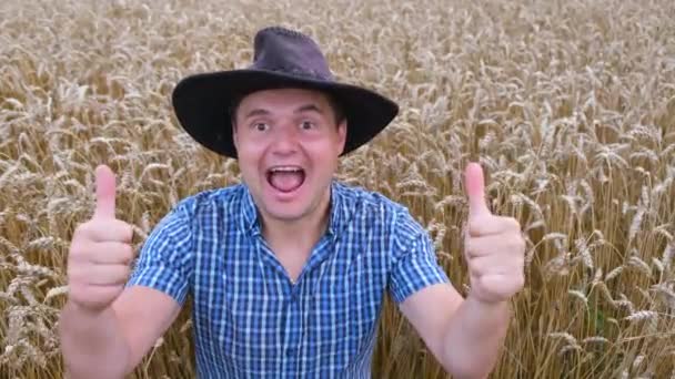 Heureux agriculteur rural sur un champ de blé, il montre les pouces vers le haut. Concept pour blé biologique, agro-industrie — Video