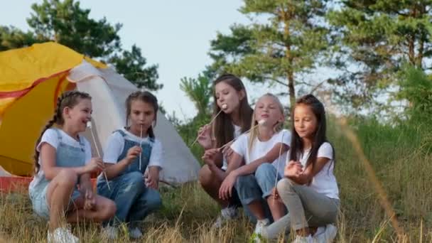 Группа детей на пикнике, они жарят зефир у костра и веселятся в летнем лагере — стоковое видео