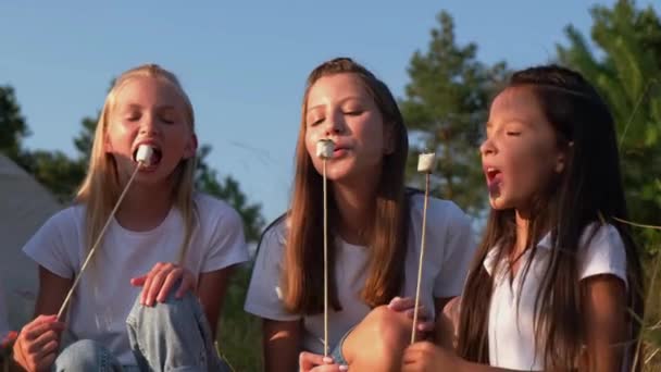 Un grupo de niños en un picnic, fríen malvaviscos junto al fuego y se divierten en un campamento de verano — Vídeo de stock