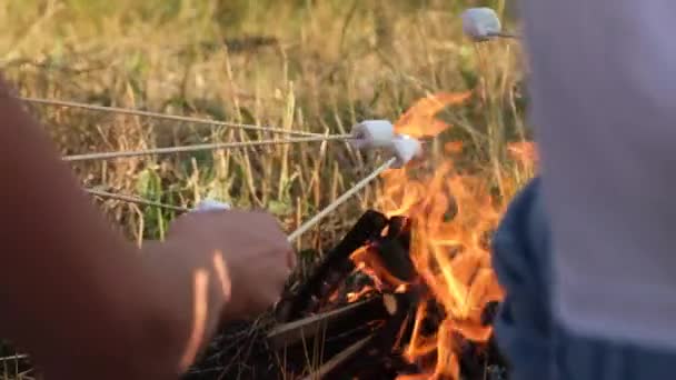 En grupp barn på picknick, steker marshmallows vid brasan och har kul på ett sommarläger — Stockvideo