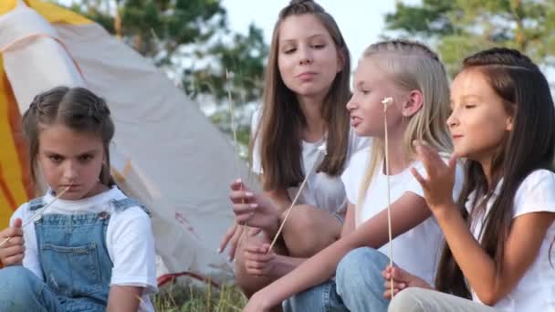 10代の子供たちはピクニックで火によってマシュマロを炒める、彼らは夏のキャンプで楽しい — ストック動画