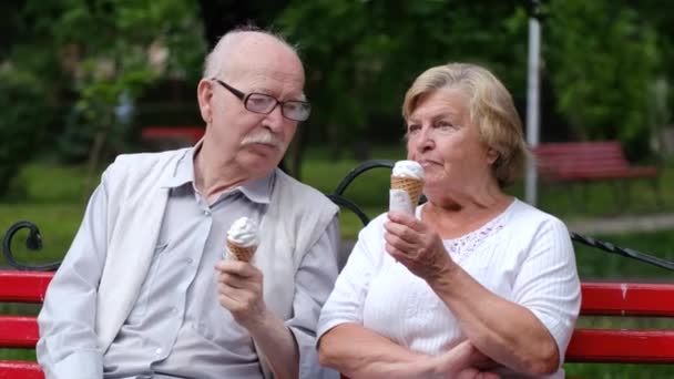 Grandpa and grandma are sitting on a bench in a park in New York, USA — Stock Video