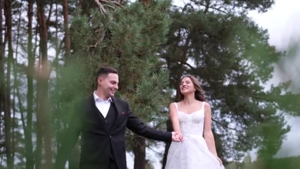 Schönes Brautpaar, das am Hochzeitstag in einem Stadtpark spazieren geht. Braut und Bräutigam umarmen und küssen sich. — Stockvideo