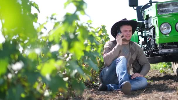 Un agriculteur ou vigneron moderne parle sur un smartphone pendant la saison des vendanges dans le vignoble. — Video