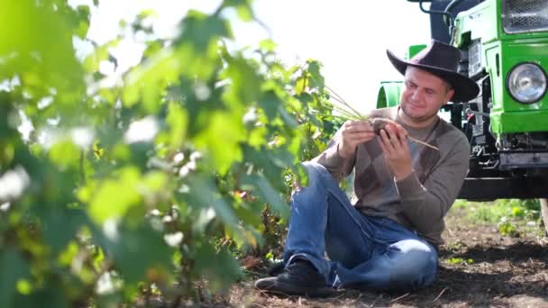 Agronomista mantém cenouras recém-colhidas sentadas ao lado de seu trator em um campo, agricultura e orgânica — Vídeo de Stock
