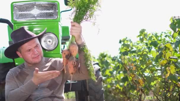有機ニンジンの栽培。収穫期だ。農家検査 — ストック動画