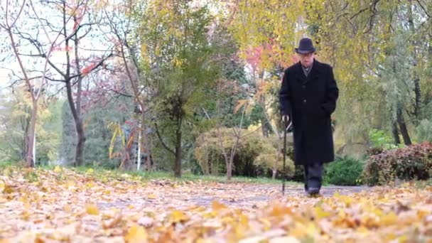 Uomo anziano dai capelli grigi a piedi nel parco autunnale, un sacco di foglie gialle sul marciapiede — Video Stock