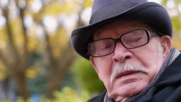 Old retired man spends time in autumn park, lots of yellow leaves on the sidewalk. Retired man — Stock Video