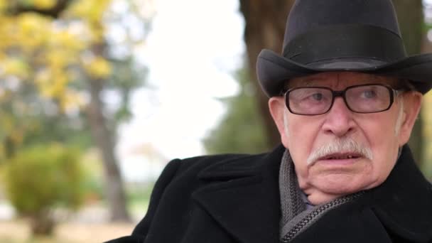 眼鏡と黒いコートを着た年金受給者は、彼は動揺している。公園のベンチに座っている老人. — ストック動画