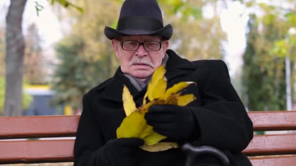 老人は公園のベンチに座っていて、黄色い葉を見ている。引退生活 — ストック動画