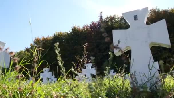 Цвинтар з білими хрестами, пам'ятник солдатам України під час Другої світової війни.. — стокове відео