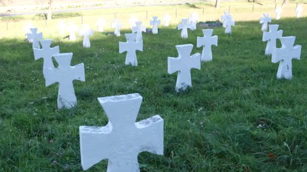 白い十字架の墓地、第二次世界大戦中のウクライナの兵士への記念碑. — ストック動画
