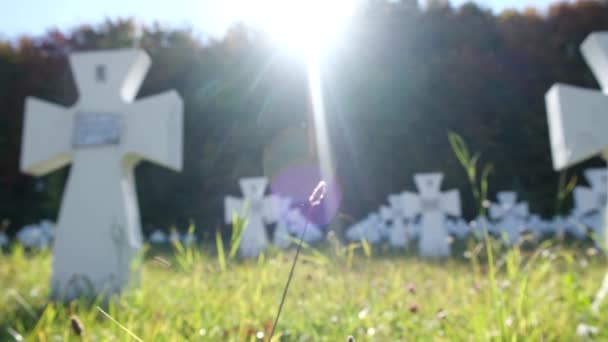 Mémorial à la mémoire des victimes de la Seconde Guerre mondiale en Ukraine. Cimetière avec monuments blancs. — Video
