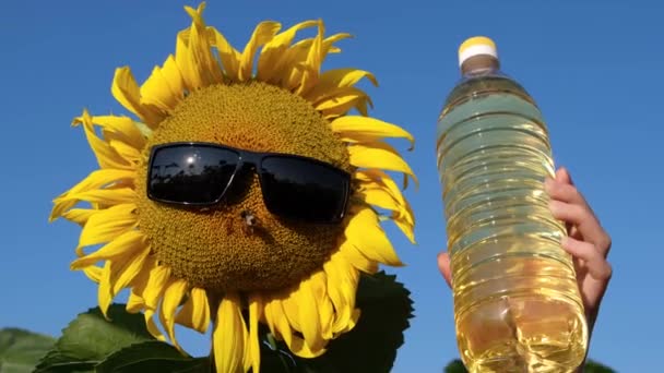 Werbung für Sonnenblumenöl. Gelbes Sonnenblumenfeld. Fröhliche Sonnenblume mit Sonnenbrille — Stockvideo