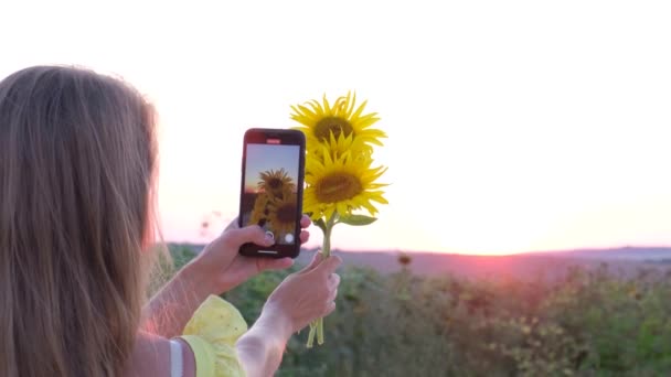 Meisje fotografeert een geel boeket van zonnebloem bloemen op een achtergrond van roze zonsondergang — Stockvideo