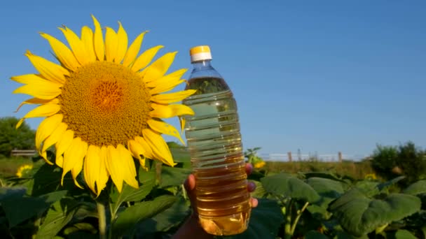 Un agricultor anuncia aceite de girasol, está en medio de una plantación de girasol. — Vídeos de Stock