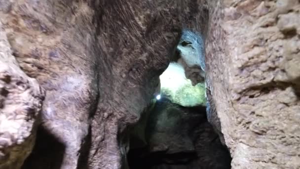 Стародавня коричнева печера охороняється ЮНЕСКО. Темний тунель, спелеологія, підземелля. — стокове відео