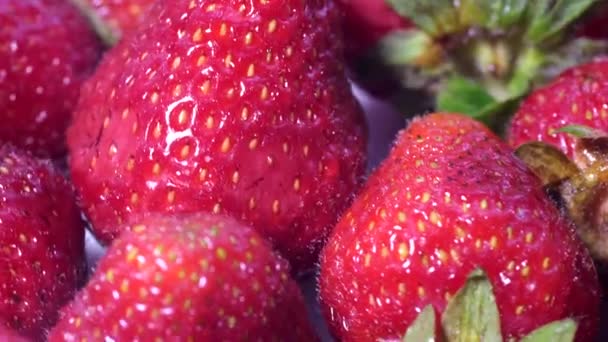 Beautiful cultivated deep red strawberries strawberry large group rotating closeup. — Stock Video