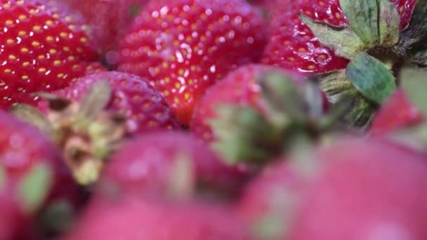 Färska jordgubbar bakgrund. Mogna i närbild. — Stockvideo