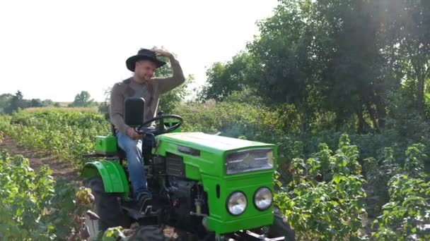 Un agronome inspecte une culture de baies tout en conduisant son mini tracteur. — Video