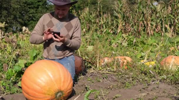 Żółta dojrzała dynia w ogrodzie wiejskiego farmera, robi jej zdjęcia na smartfonie. — Wideo stockowe