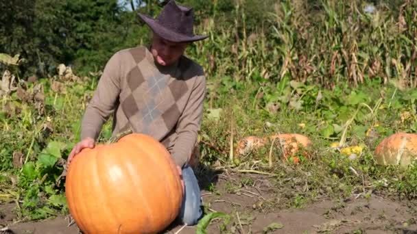 Ένας αγρότης επιδεικνύει τη σοδειά του, μεγαλώνει μια μεγάλη πορτοκαλιά κολοκύθα. — Αρχείο Βίντεο
