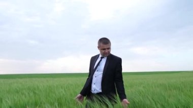 Yeşil bir tarlanın ortasında bir tarım uzmanı, bir iş elbisesi içinde buğday mahsulüne bakıyor.