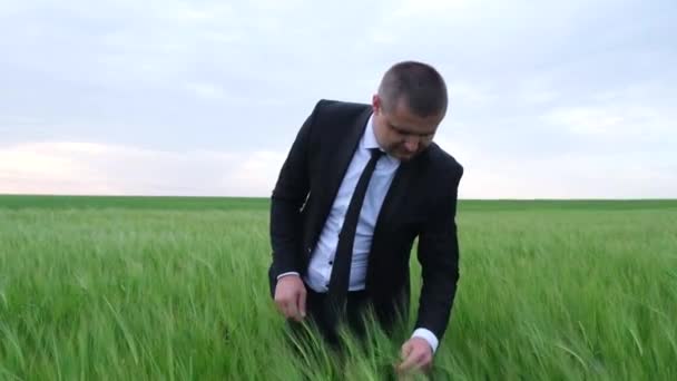 Joven, guapo, bien vestido, hombre de negocios se encuentra en medio de un campo de trigo verde — Vídeos de Stock