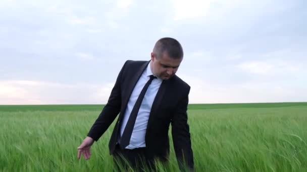 Šéf farmy uprostřed zeleného pole, on v obchodním obleku — Stock video