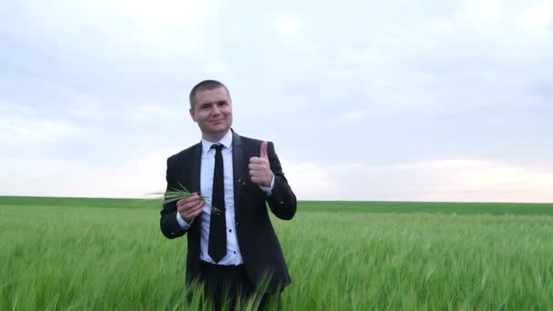 Un agricultor o agrónomo se encuentra en medio del trigo joven en un campo y mira a la cámara — Vídeos de Stock