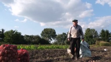 Yaşlı bir çiftçi tarlada patates toplar. Büyükbaba bahçede, tavuklar arkasında.