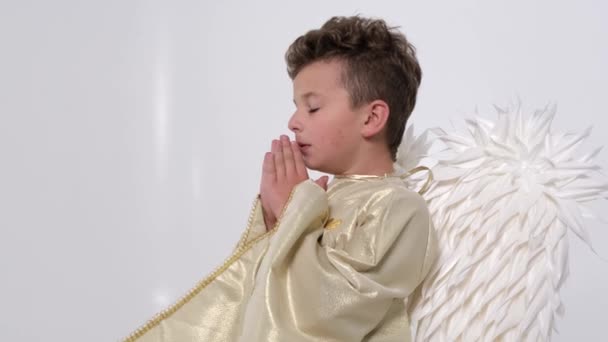 Mały chłopiec modli się, ma białe skrzydła na białym tle — Wideo stockowe