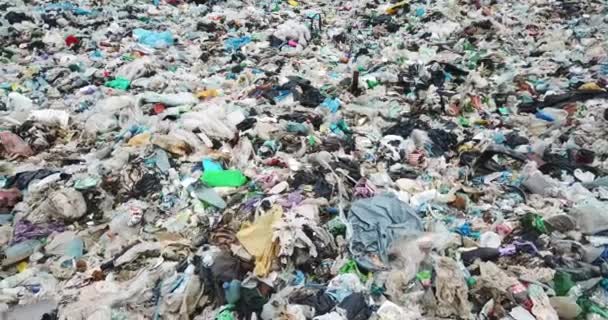 Grande pilha de lixo, lixo degradado. Lotes de fedor e resíduos tóxicos no meio da floresta — Vídeo de Stock