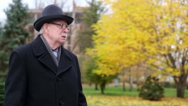 引退した男は秋の日に公園を歩くと、木々の上に黄色の葉。孤独な祖父 — ストック動画