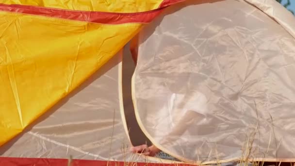 Criança sorridente acenando com a mão de uma tenda amarela, acampando para crianças na floresta. — Vídeo de Stock