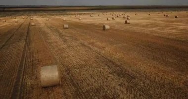 Altın saman balya ile kırsal manzara.