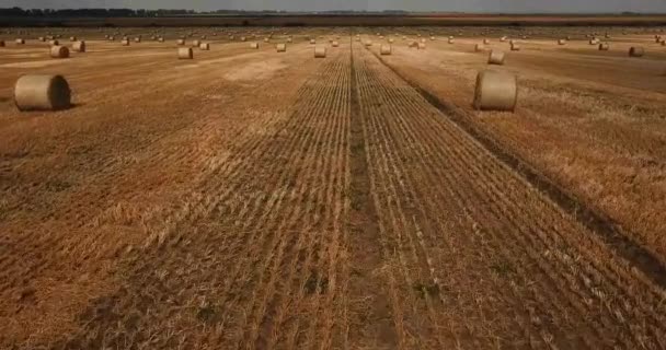 Rural landscape with golden straw bales. — Stock Video