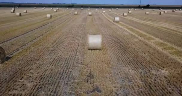 Rural landscape with golden straw bales. — Stock Video