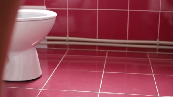 A young girl writes in the toilet in the bathroom at home with a smartphone — Vídeo de Stock