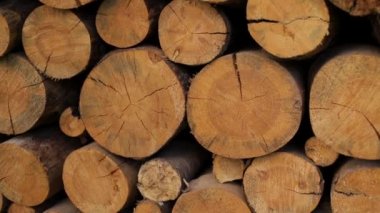 Kesilen odunların, kesilen odunların arka planı.