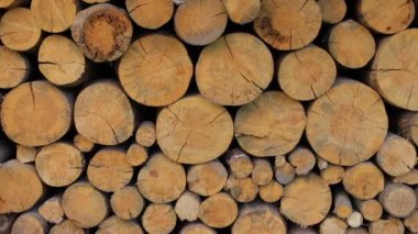 Kesilen odunların, kesilen odunların arka planı.