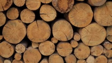 Kesilen odunların, kesilen odunların arka planı.