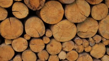 Kesilen odunların, kesilen odunların arka planı.