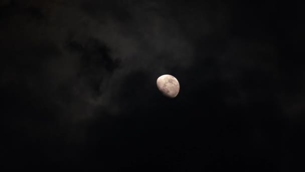真正的满月视频在黑暗多云的夜晚。云彩掠过月亮，漆黑的夜空, — 图库视频影像
