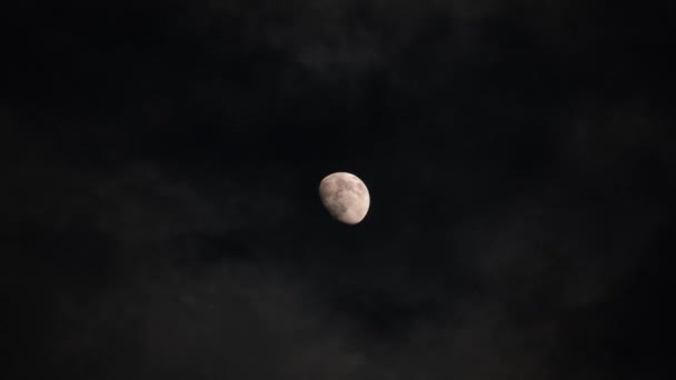 Full moon at night with clouds in real time. Night sky. — Wideo stockowe