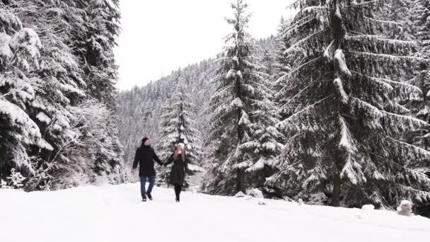 Pareja enamorada camina en un camino de invierno, se toman de la mano, un hermoso bosque cubierto de nieve — Vídeo de stock